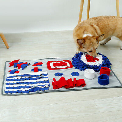 10 Easy DIY Toys For Your Dog