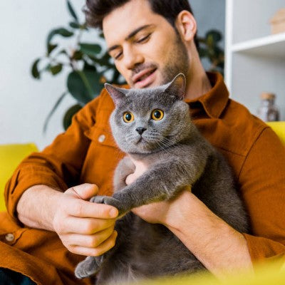 Noble Pawtrait’s Guide On The Best Way To Pet A Cat