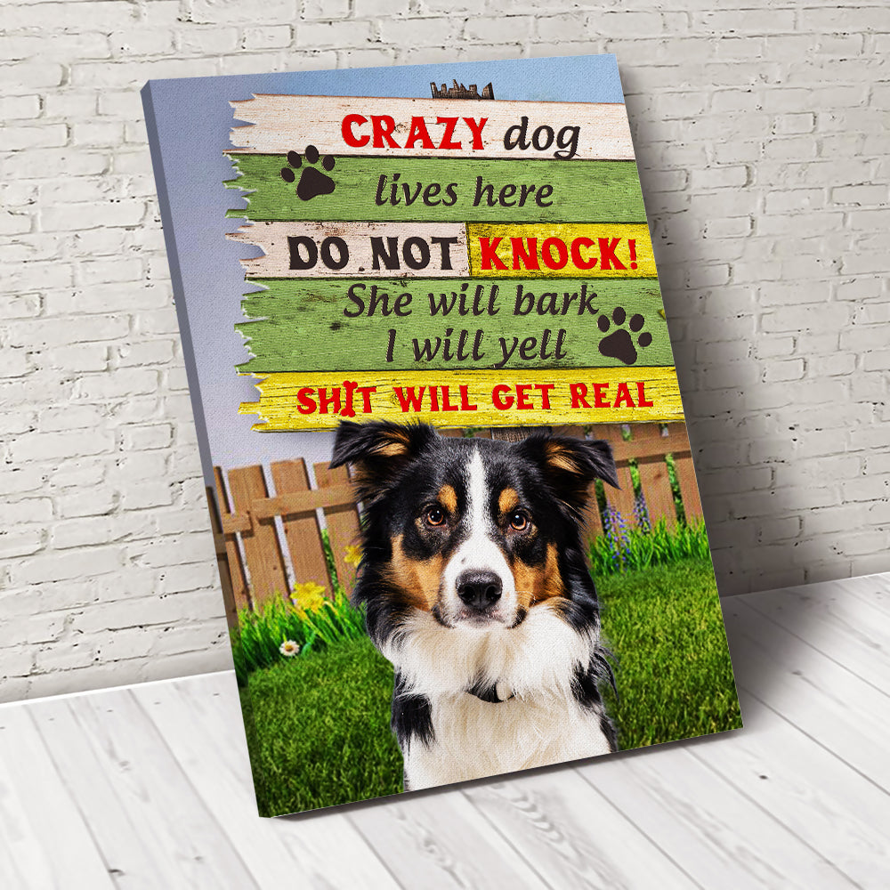 Crazy Dog Custom Pet Portrait - Noble Pawtrait