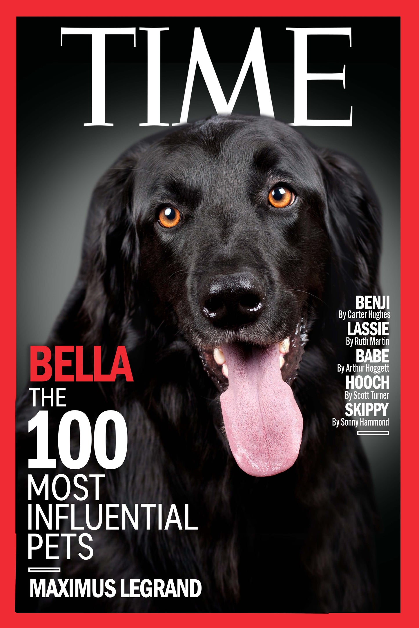 The Time Cover Custom Pet Portrait - Noble Pawtrait