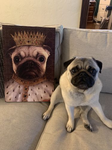 King Henry VII Custom Pet Portrait Canvas - Noble Pawtrait