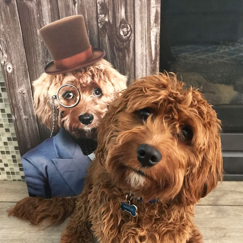 The Mr. Custom Pet Portrait - Noble Pawtrait