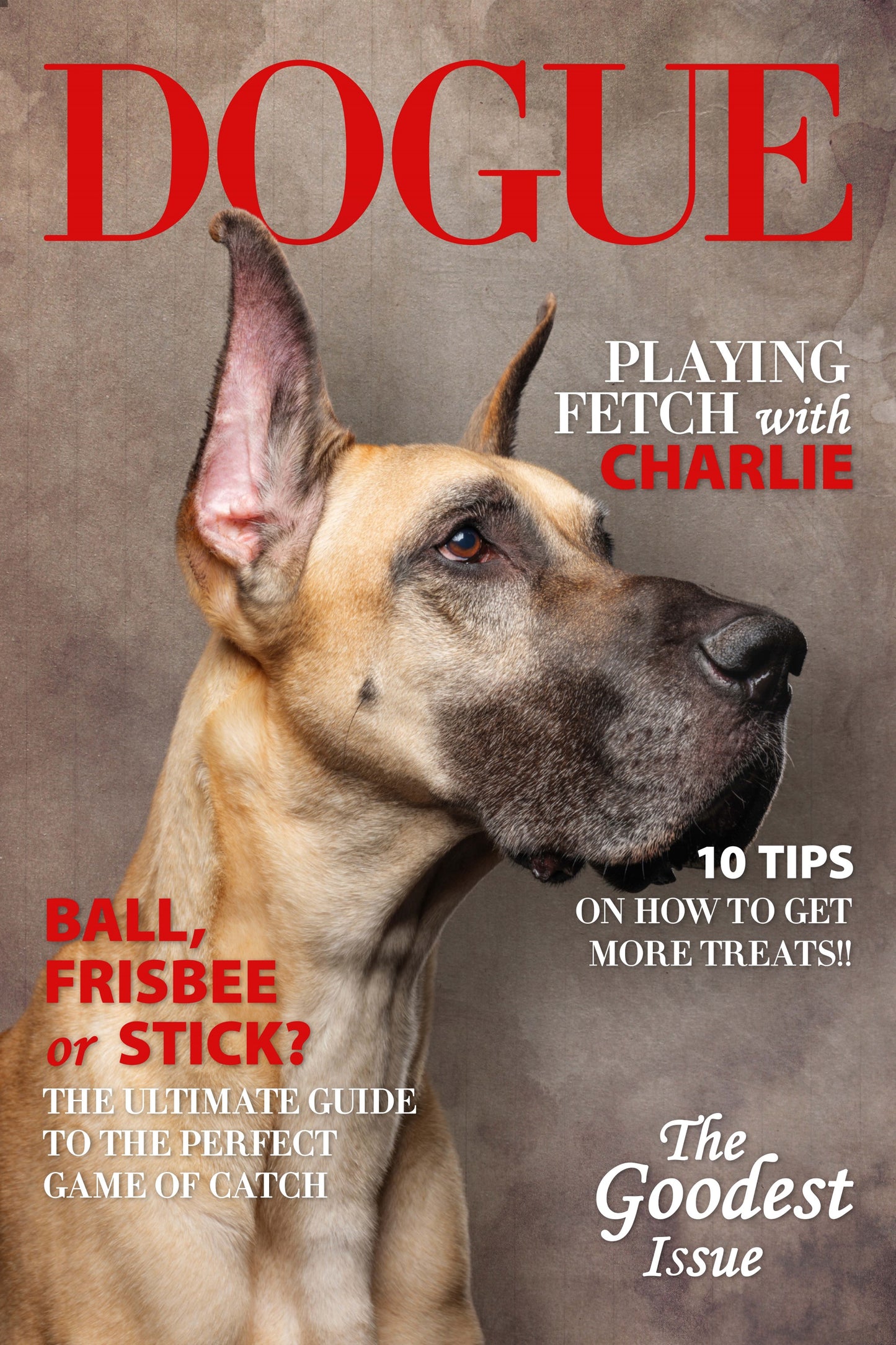 The Dogue Custom Pet Portrait - Noble Pawtrait