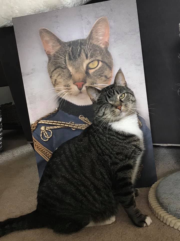 The Sergeant Custom Pet Portrait - Noble Pawtrait