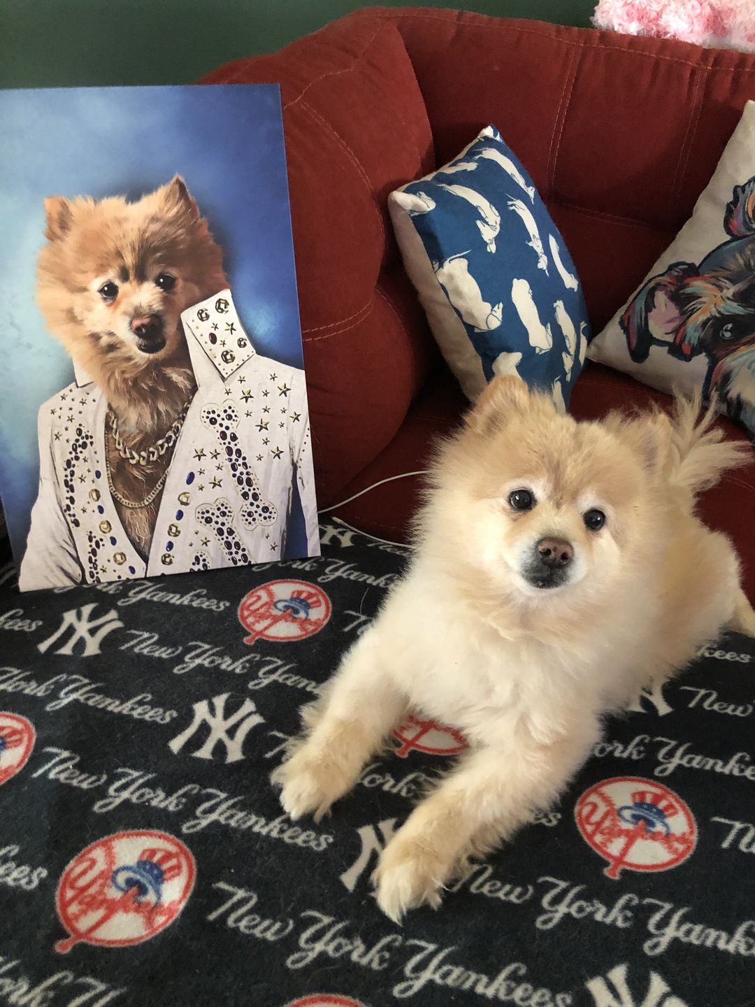 The Singer Custom Pet Portrait - Noble Pawtrait