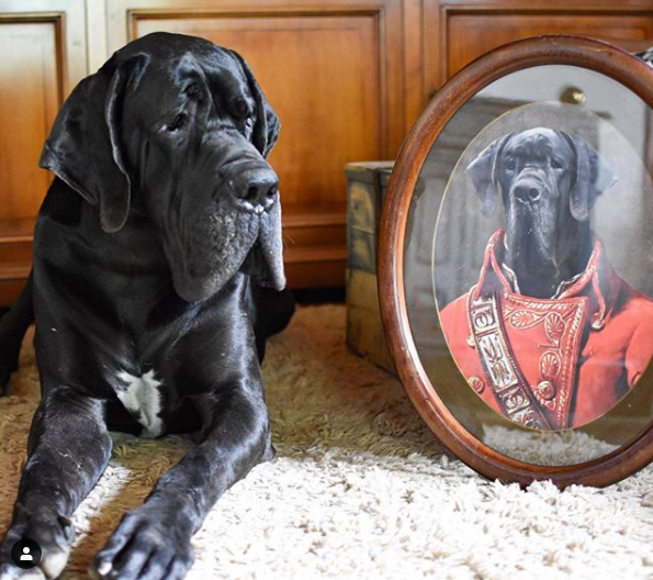 The Soldier Custom Pet Portrait Poster - Noble Pawtrait