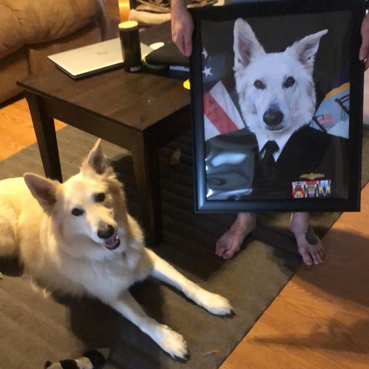 The US Navy Custom Pet Portrait - Noble Pawtrait