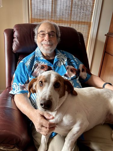 Custom Hawaiian Shirt With Pet Photo | Personalized Gift For Pet Lovers | Leaves Pattern Sea Blue Color Aloha Shirt