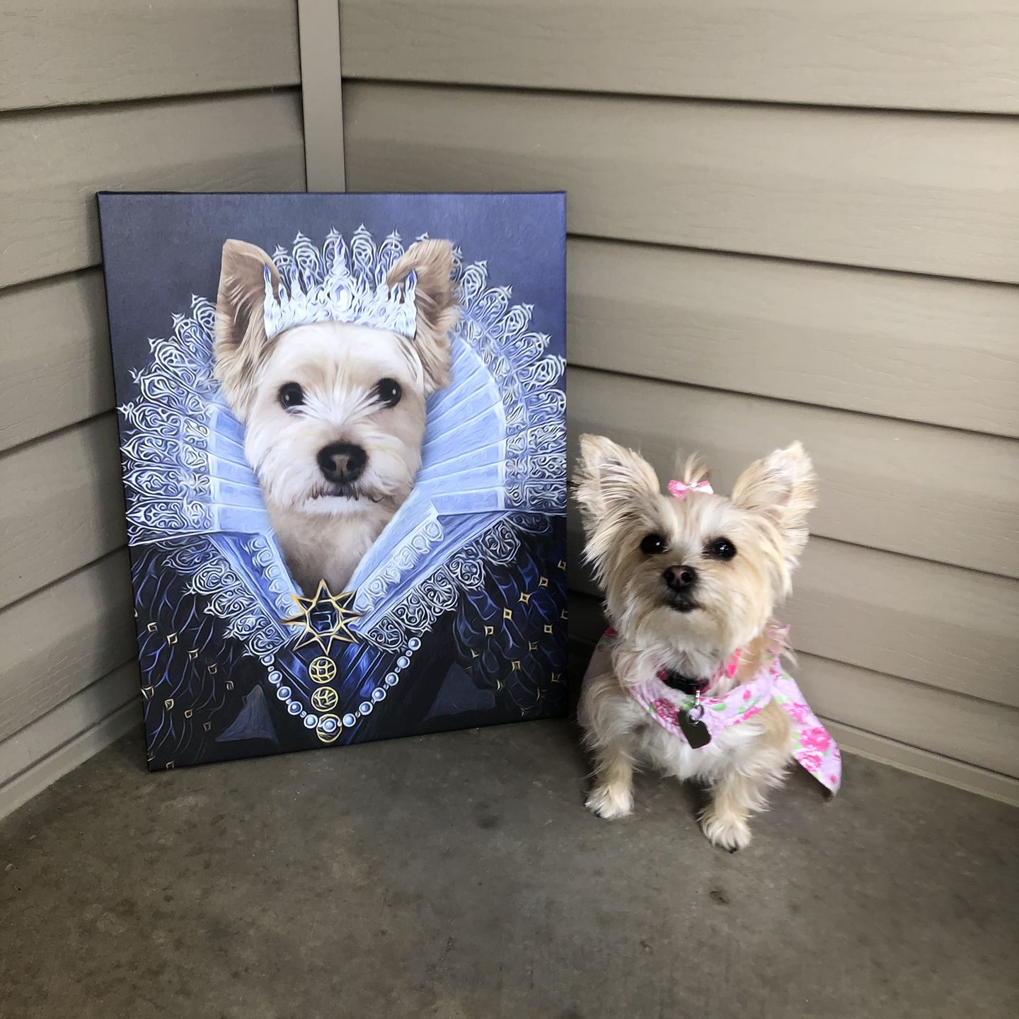 Her Majesty Custom Pet Portrait - Noble Pawtrait