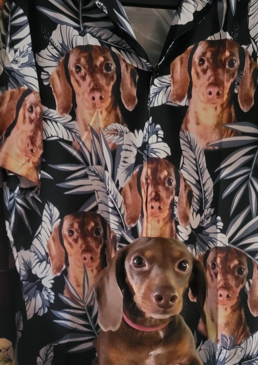 Custom Hawaiian Shirt For Cat Lovers | Personalized Kitty Lovers Gift | Flowers Pattern Black Color Aloha Shirt