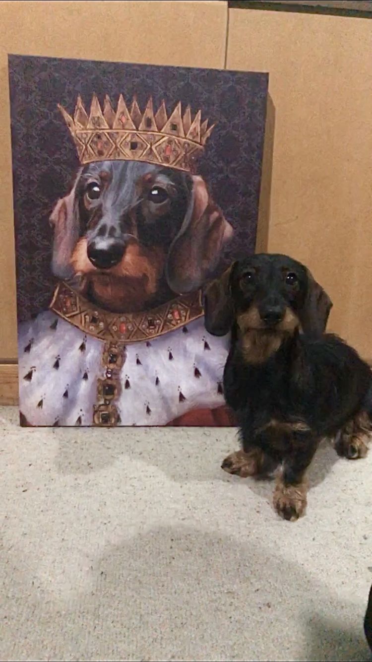 King Henry VII Custom Pet Portrait Canvas - Noble Pawtrait