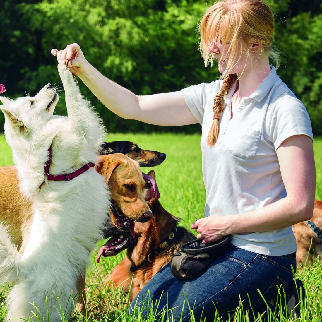 5 Smart Tips To Be A Better Pet Parent
