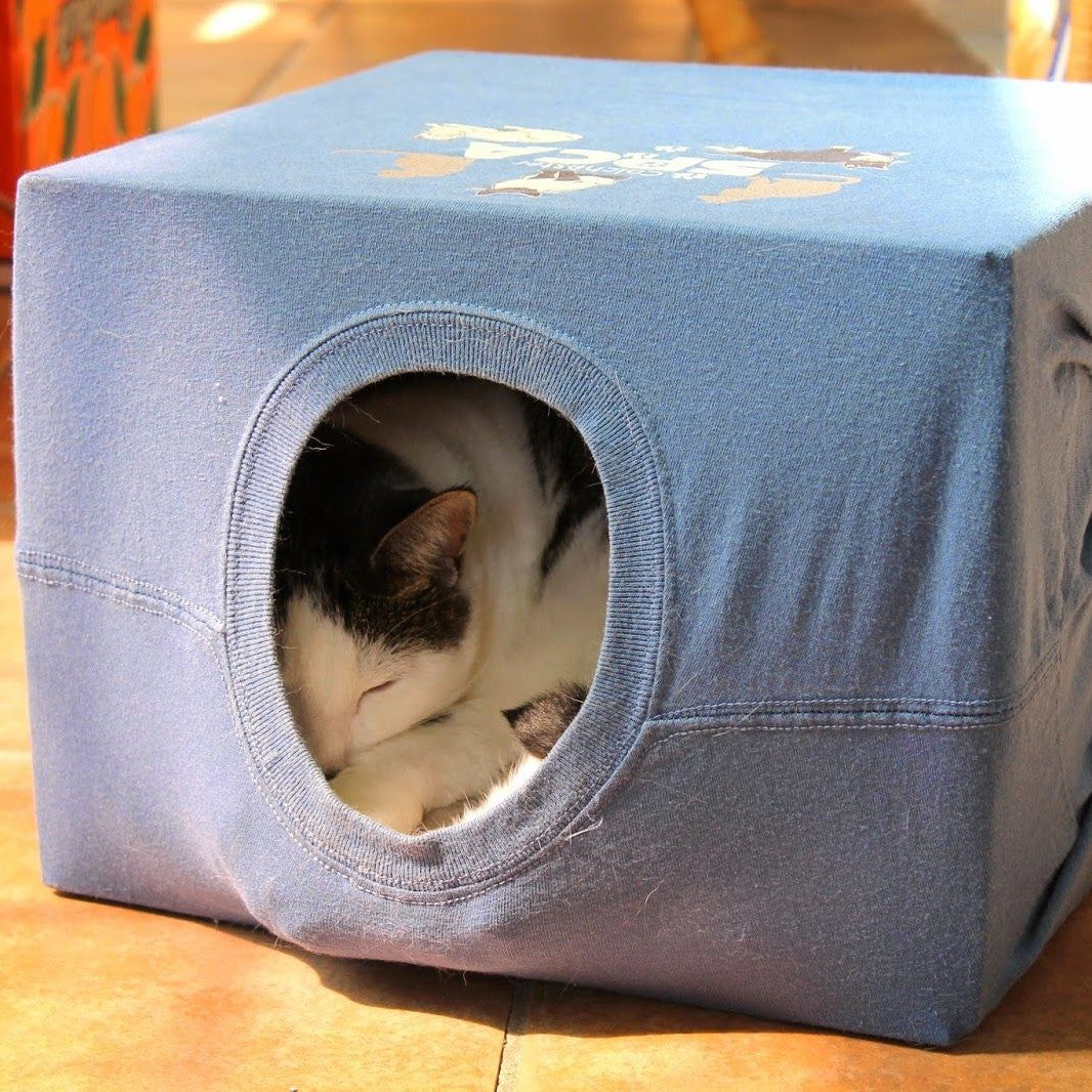 7 Easy-To-Make DIY Cat Toys In 2021!