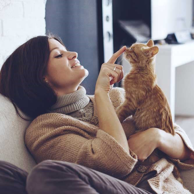Top 5 Tips For New Cat Owners