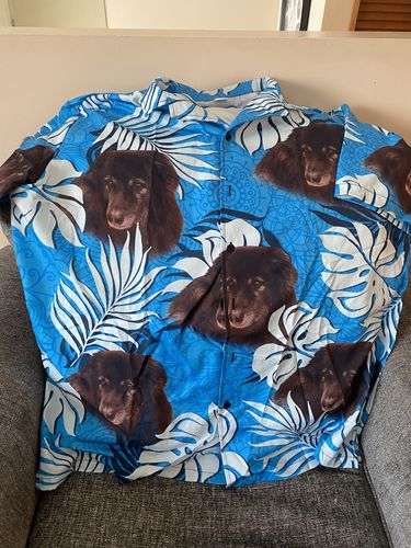 Chemise hawaïenne personnalisée avec photo pour animaux de compagnie | Cadeau personnalisé pour les amoureux des animaux de compagnie | Chemise Aloha de couleur bleu mer à motif de feuilles