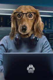 The Programmer Custom Pet Portrait - Noble Pawtrait