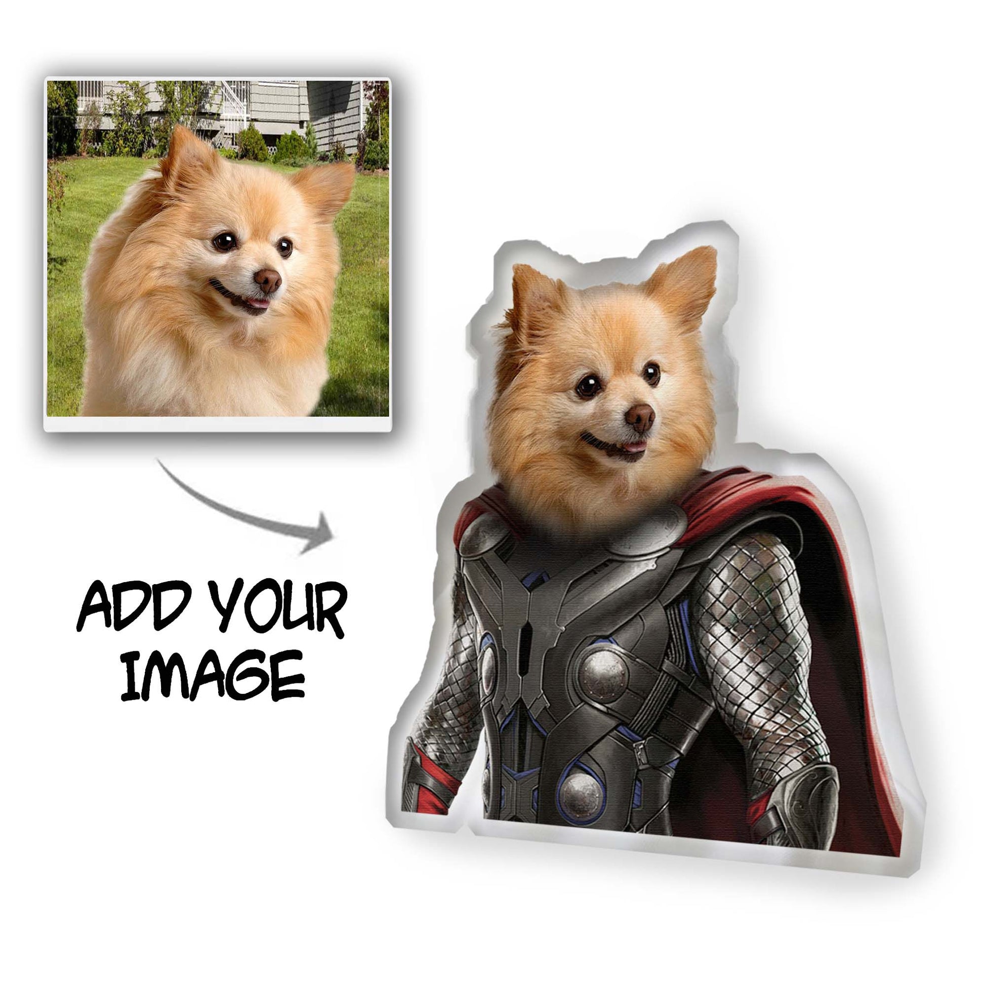 The Thunder Custom Pet Pillow - Noble Pawtrait