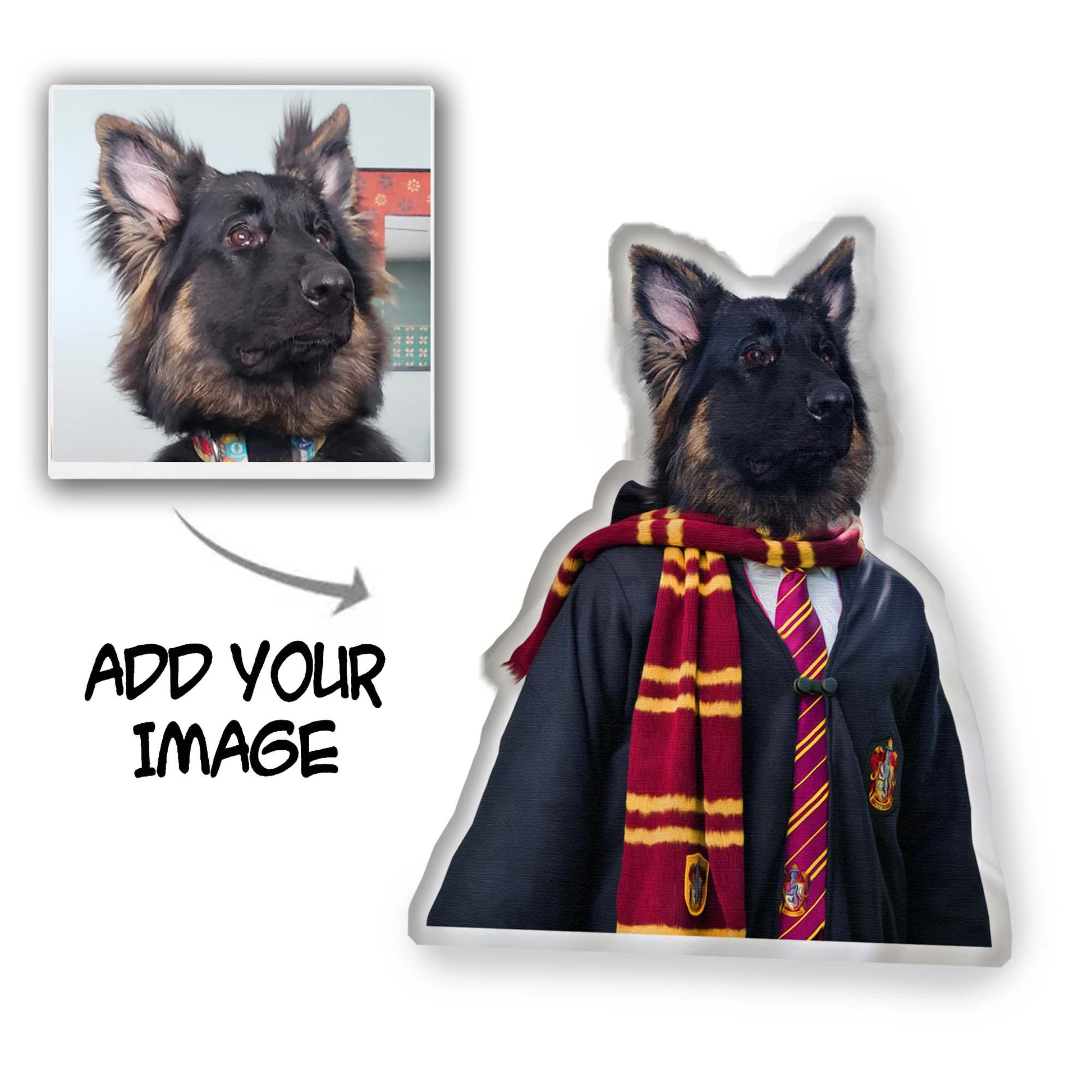 The Wizard Custom Pet Pillow - Noble Pawtrait