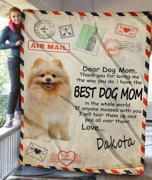 Paw Mail Mom Gift Custom Pet Fleece Blanket - Noble Pawtrait