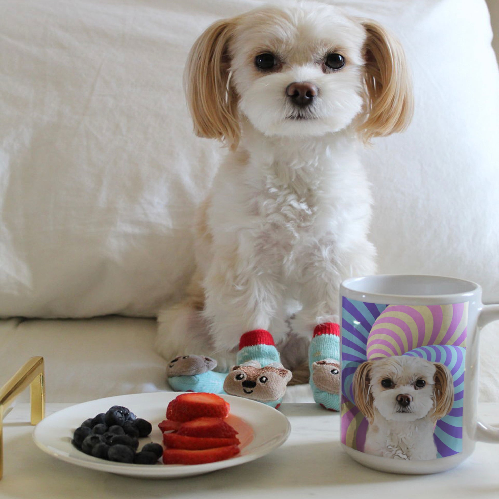 Custom Pet Coffee Mug - Noble Pawtrait