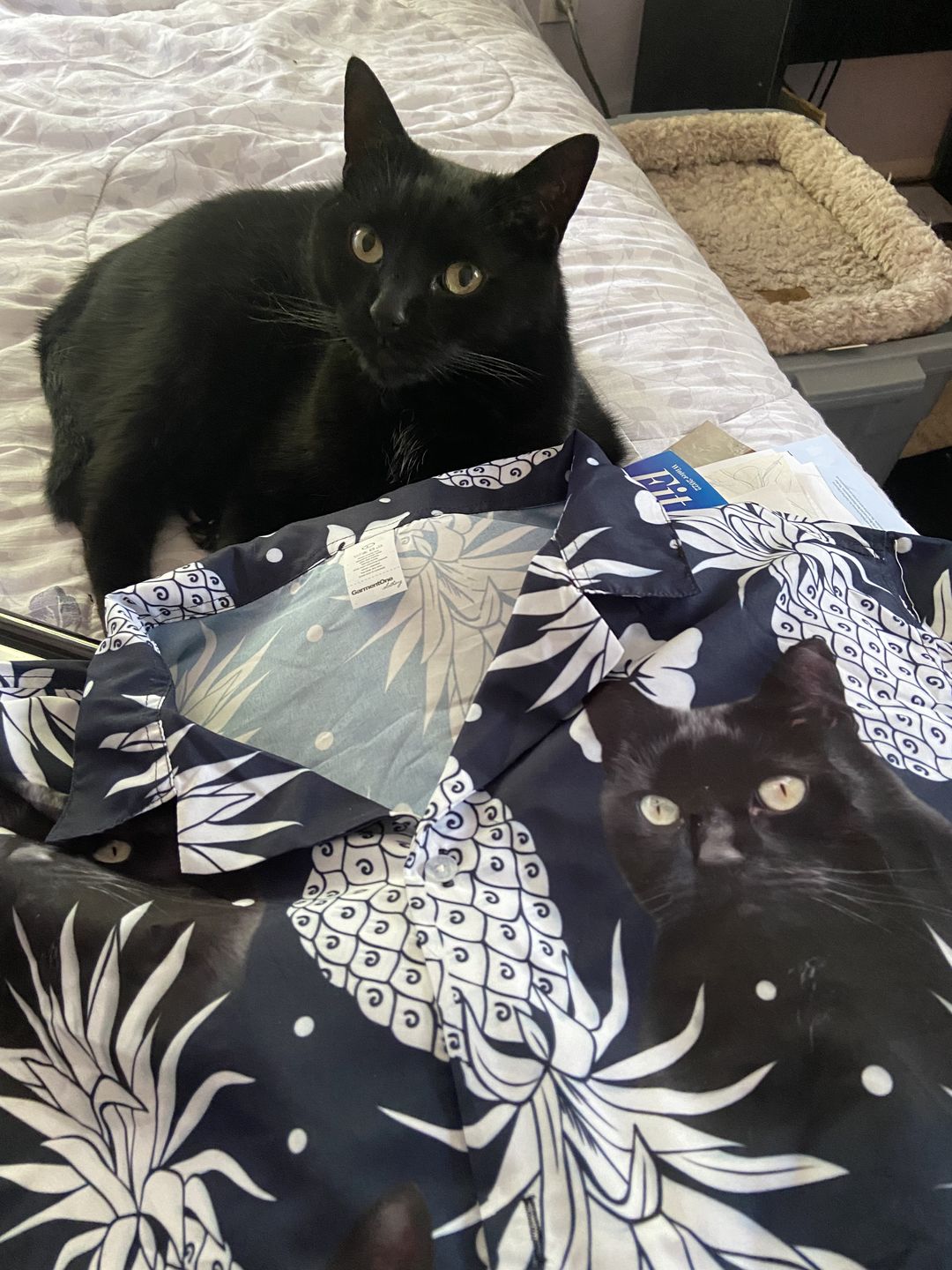 Custom Hawaiian Shirt With Pet Face | Personalized Gift For Pet Lovers | Pineapple Pattern Dark Navy Color Aloha Shirt