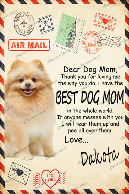 Paw Mail Mom Gift Custom Pet Fleece Blanket - Noble Pawtrait