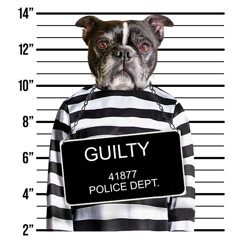 Bad Boy Custom Pet Mug - Noble Pawtrait