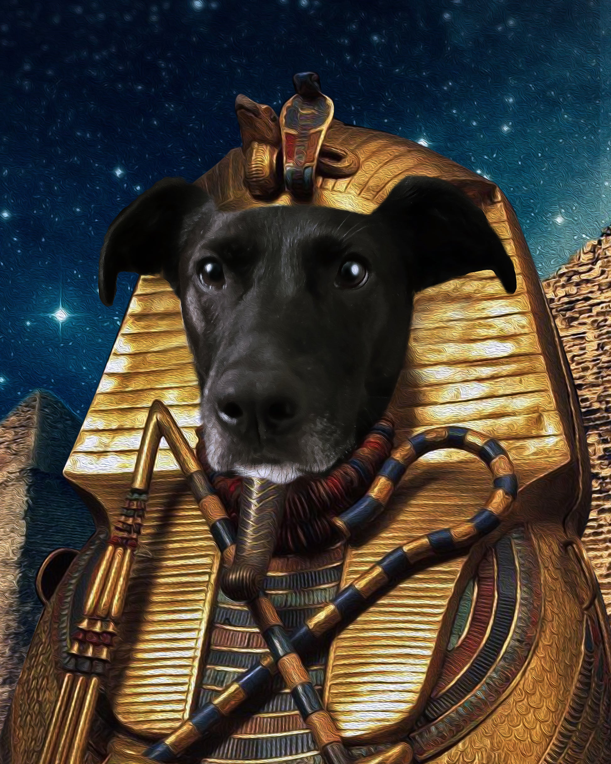 The Pharapaw Custom Pet Portrait - Noble Pawtrait