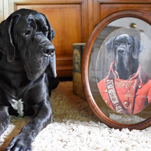 The Soldier Custom Pet Portrait - Noble Pawtrait