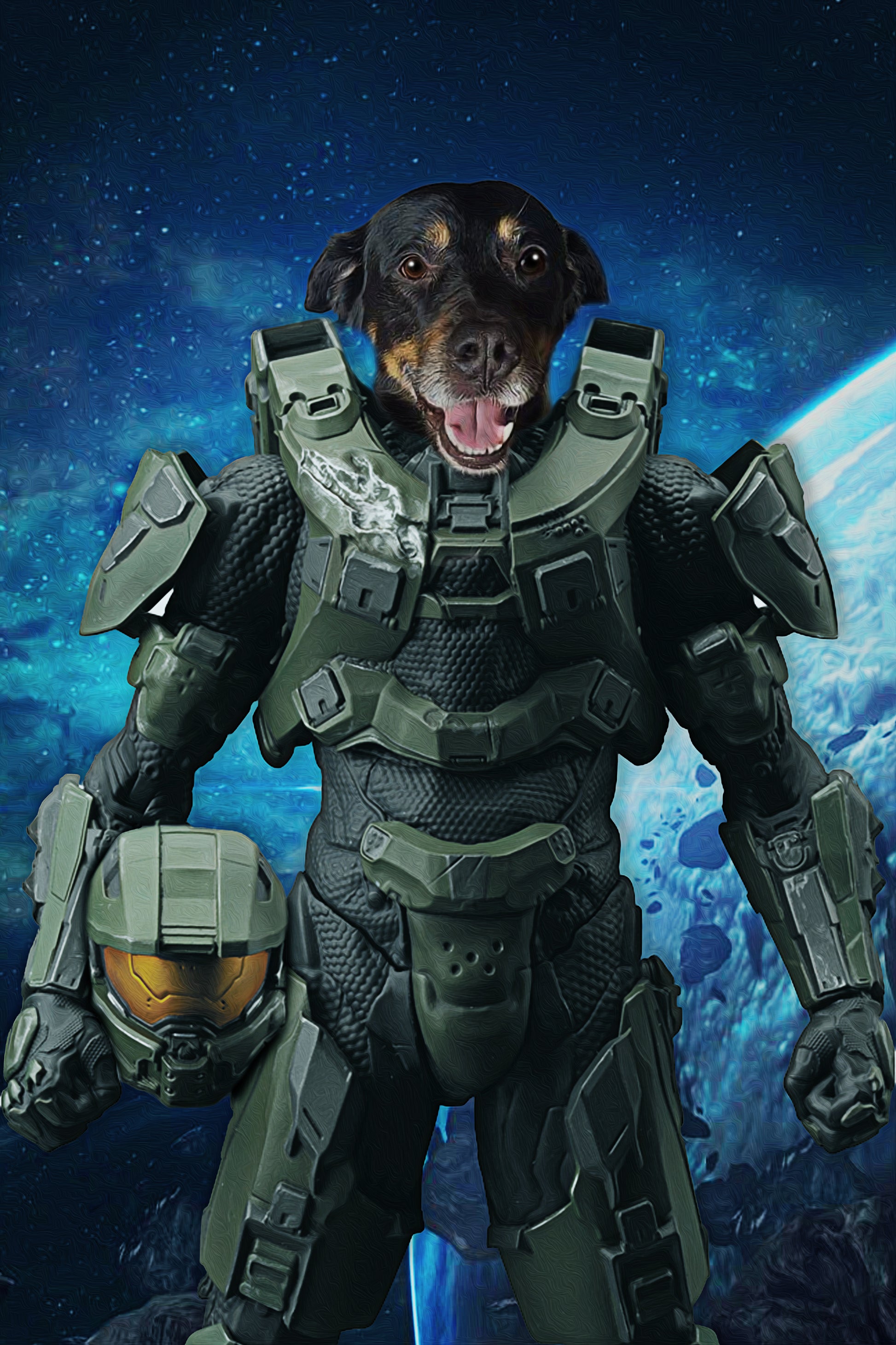 The Space Soldier Custom Pet Portrait Digital Download - Noble Pawtrait