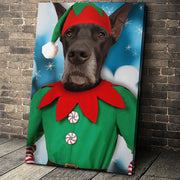 The Male Elf Custom Pet Portrait - Noble Pawtrait