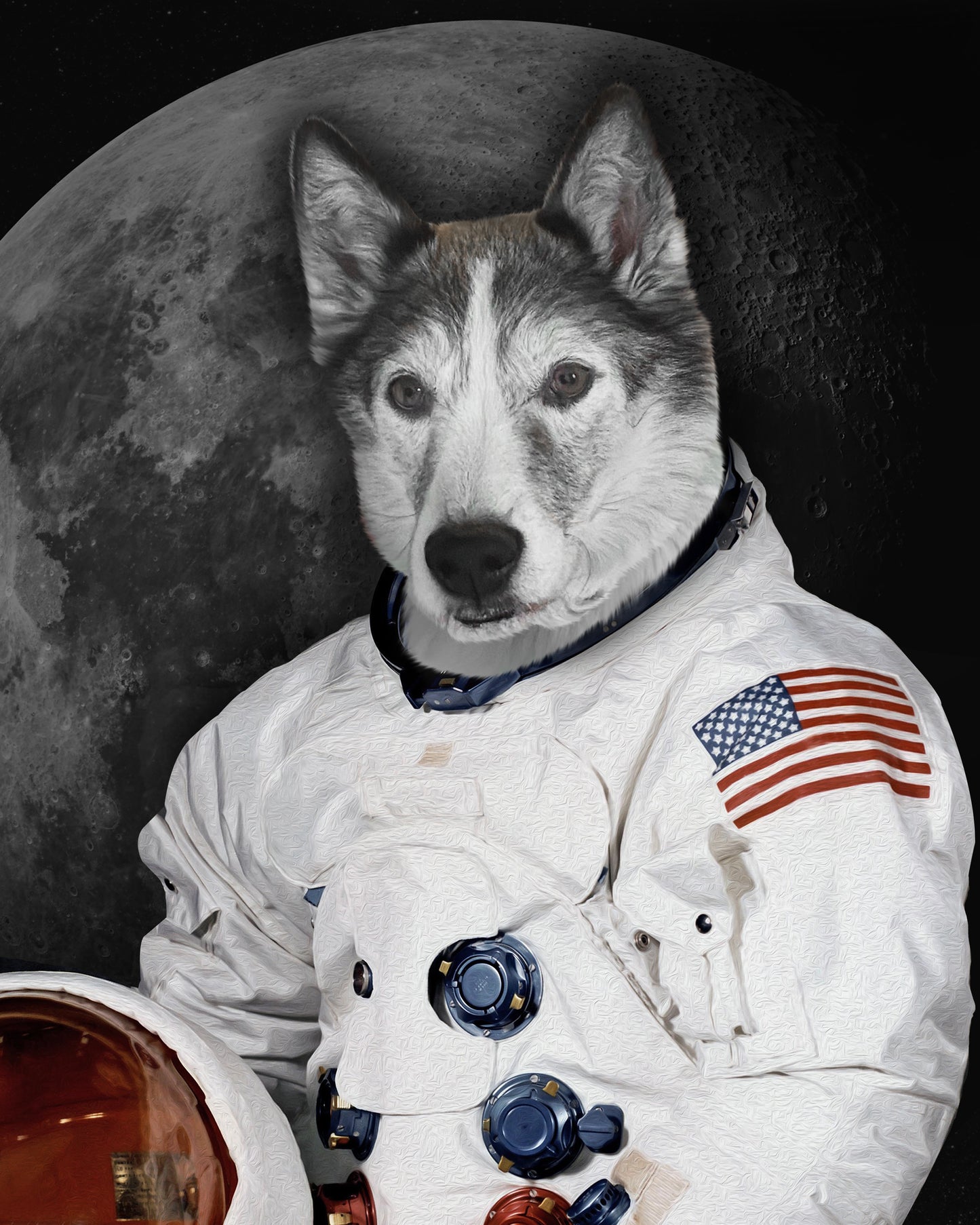 The Moon Walker Custom Pet Portrait Canvas - Noble Pawtrait