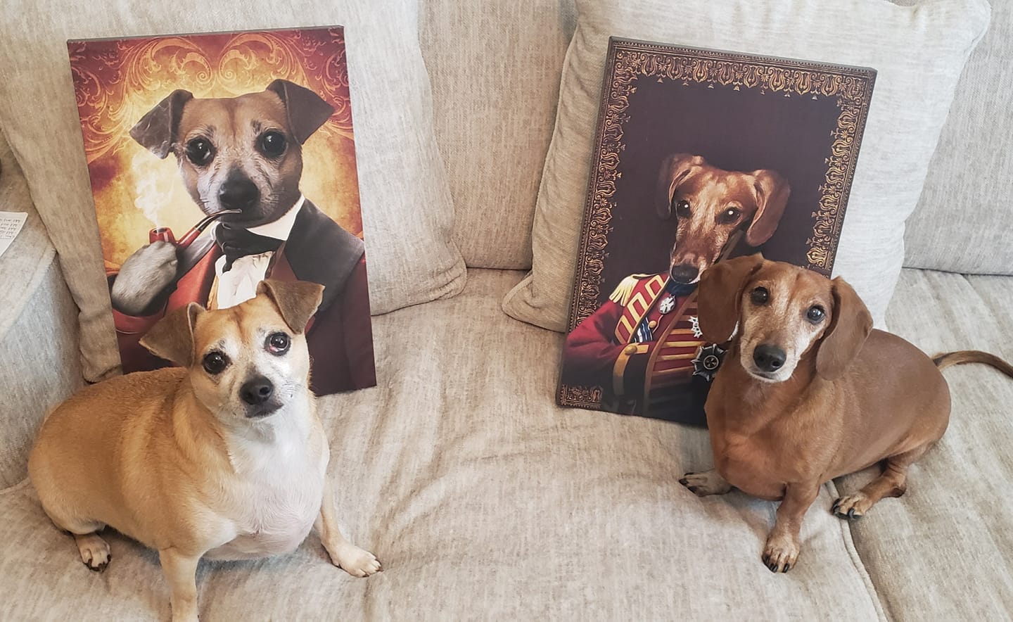 The Novelist Custom Pet Portrait Canvas - Noble Pawtrait