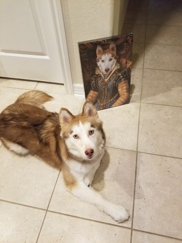 The Persia Princess Custom Pet Portrait Canvas - Noble Pawtrait