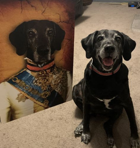 The Prince Custom Pet Portrait - Pet Canvas - Pet Poster - Noble Pawtrait