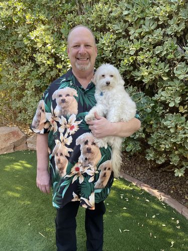 Chemise hawaïenne personnalisée pour les amateurs de chiens | Cadeau personnalisé pour les amoureux des chiots | Chemise Aloha à motif de feuilles et de fleurs, couleur vert foncé