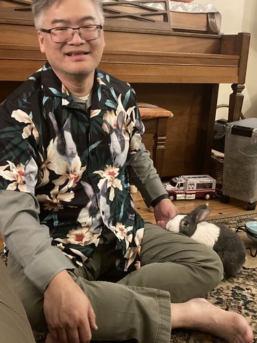Chemise hawaïenne personnalisée pour les amateurs de chiens | Cadeau personnalisé pour les amoureux des chiots | Chemise Aloha à motif de feuilles et de fleurs, couleur vert foncé