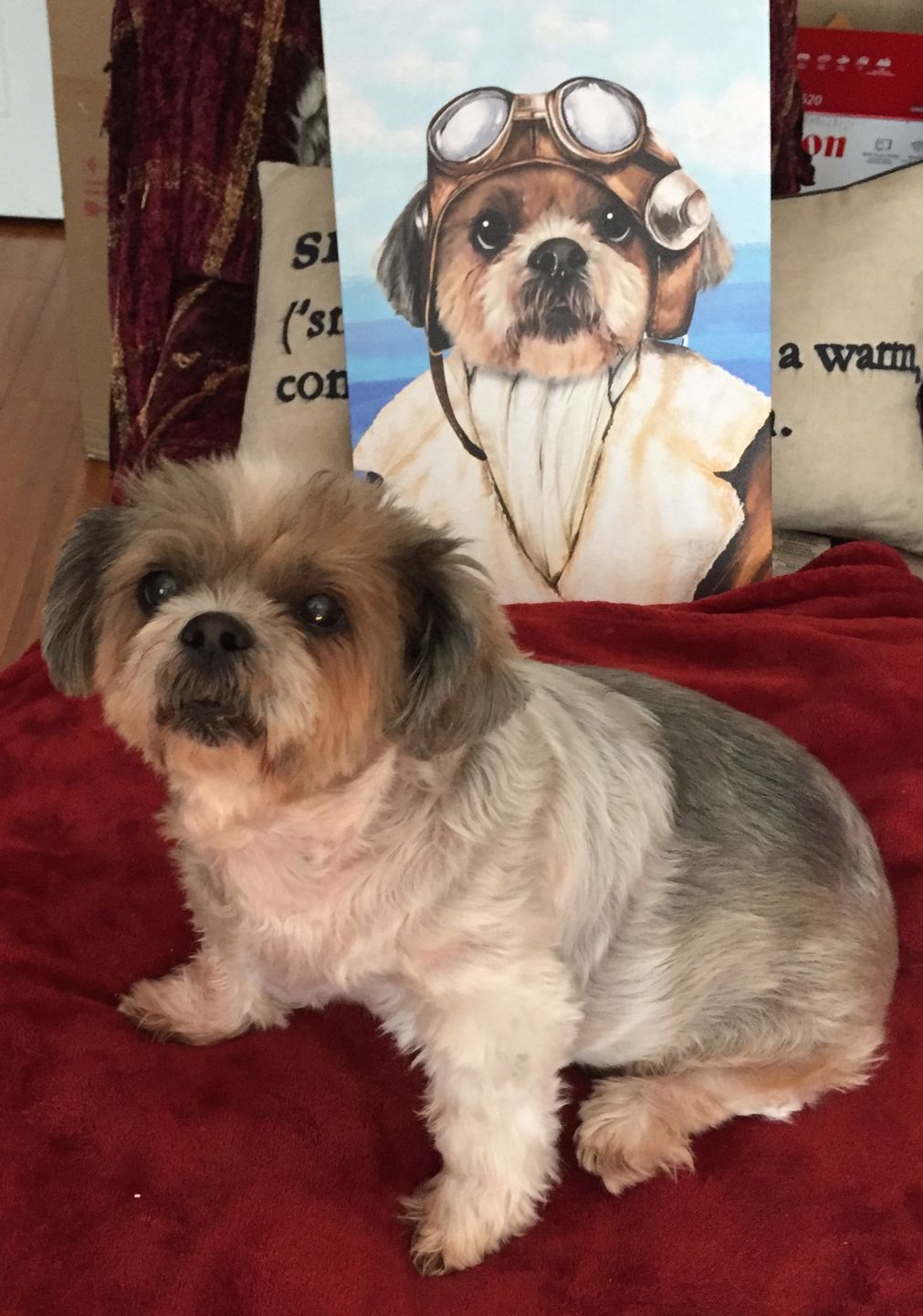 The Female Pilot Custom Pet Portrait Canvas - Noble Pawtrait