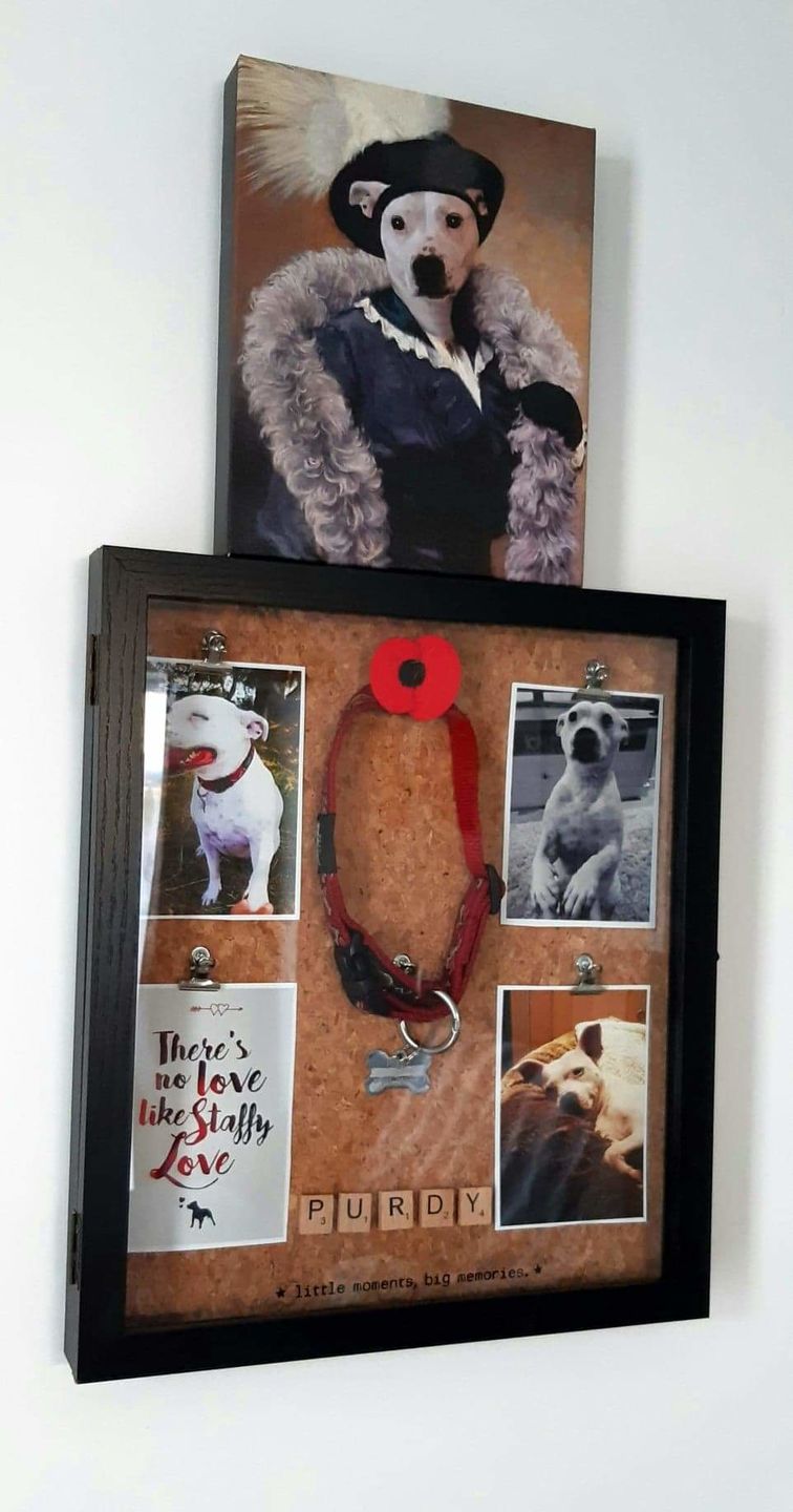 The Foxy Lady Custom Pet Portrait Canvas - Noble Pawtrait