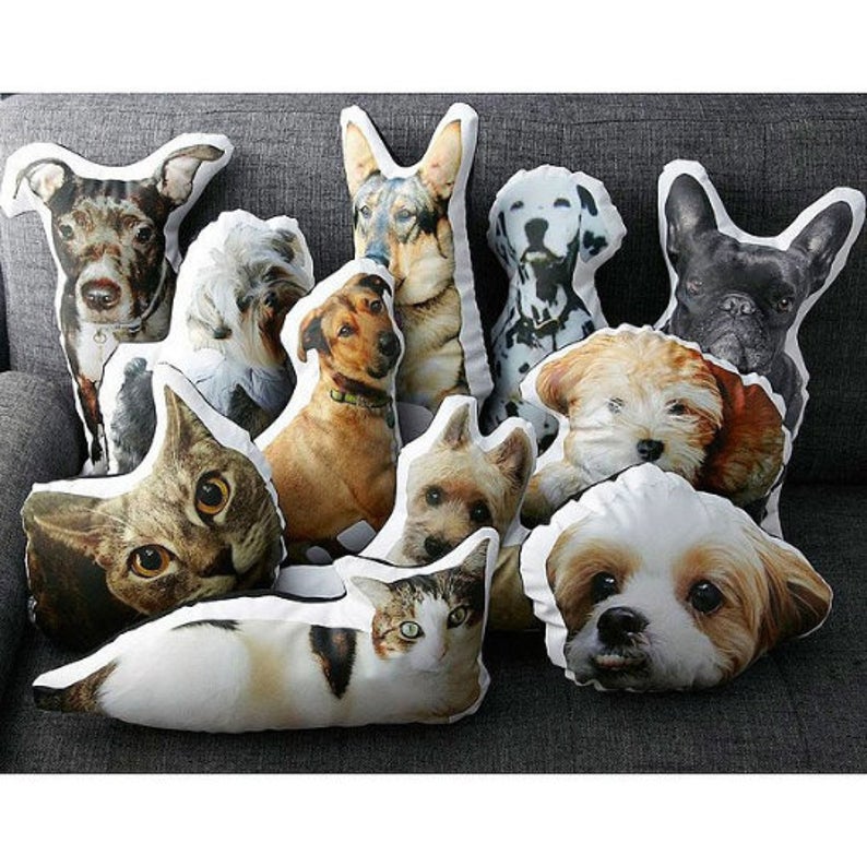 Create Your Own Pet Pillow - Noble Pawtrait