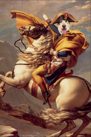 The Rider Custom Pet Portrait Canvas - Noble Pawtrait