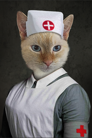 The Nurse Custom Pet Portrait - Noble Pawtrait
