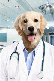 The Doctor Custom Pet Portrait Canvas - Noble Pawtrait