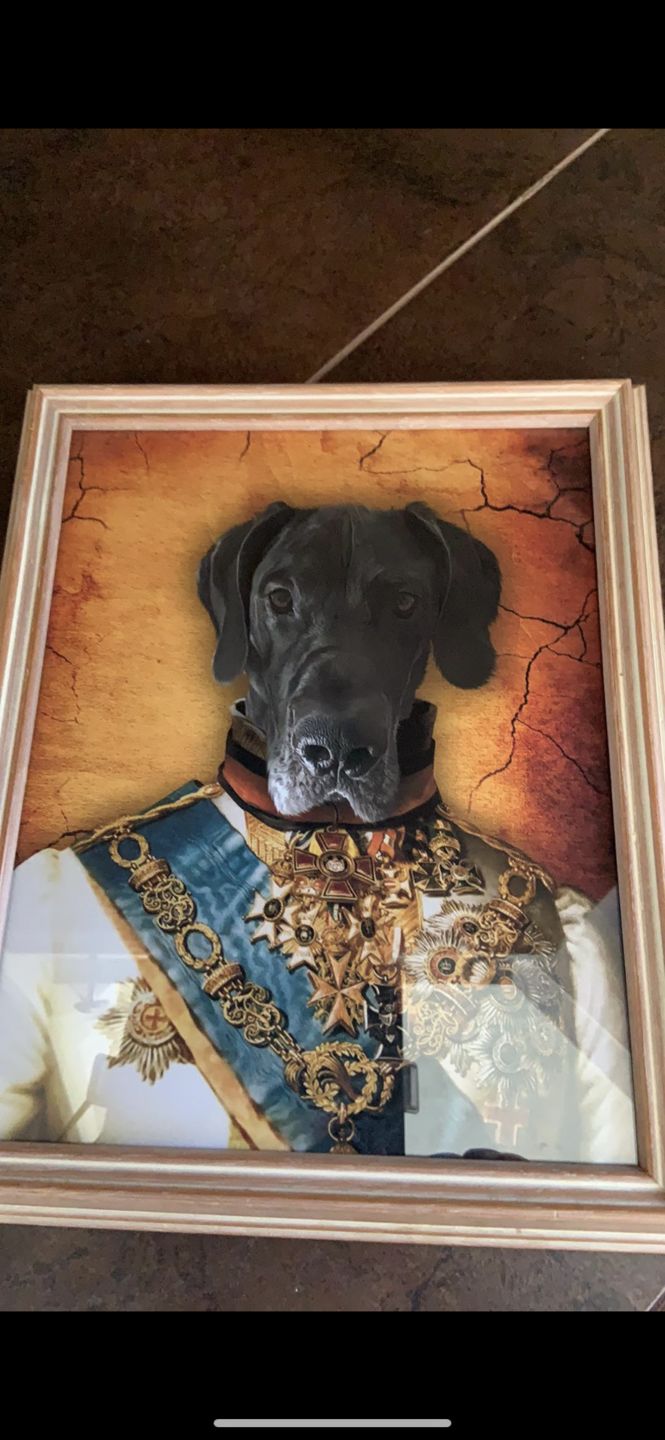 The Prince Custom Pet Portrait Poster - Noble Pawtrait